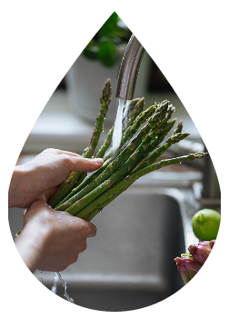 A person's hands rinsing asparagus under a faucet with running tap water